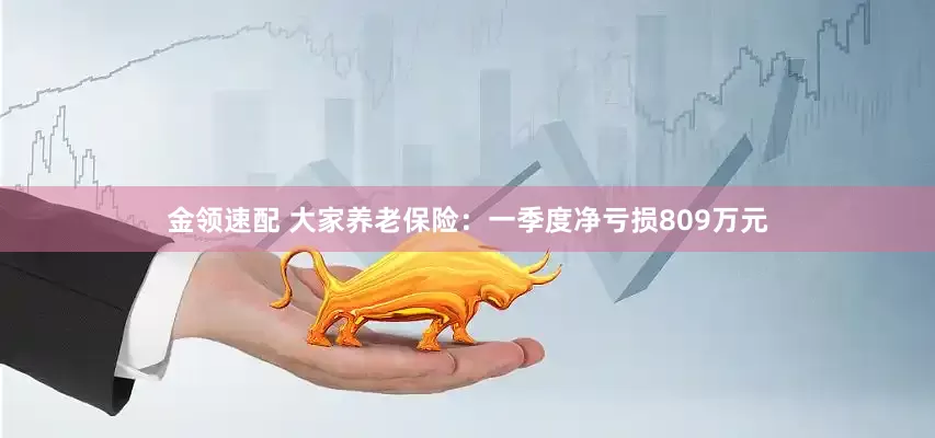 金领速配 大家养老保险：一季度净亏损809万元