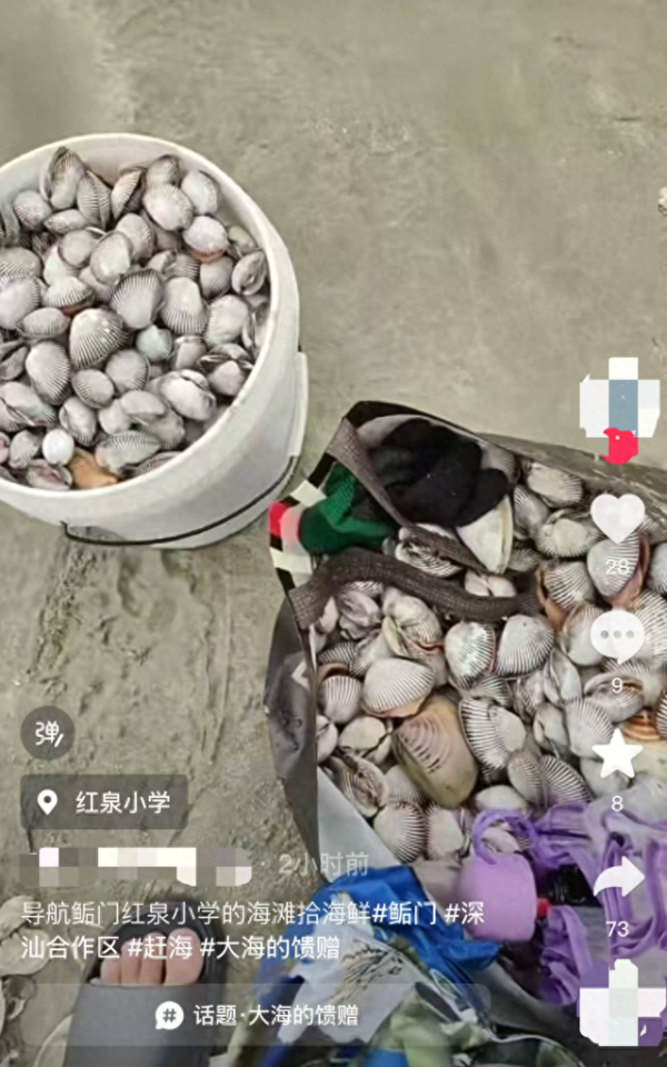 嘉盛投资 “捡不完根本捡不完”，人手一个桶，提醒：尽量不要吃