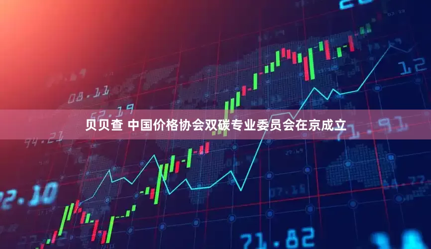 贝贝查 中国价格协会双碳专业委员会在京成立